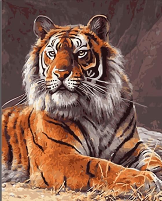 

Tiger – Paint By Numbers - 40*50CM, 501 Original