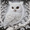 (Pre-Framed)White Owl-Special Shape Diamond Painting Kit(25x25cm)