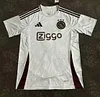 2024/2025 Ajax Third Away Football Shirt 1:1 Thai Quality