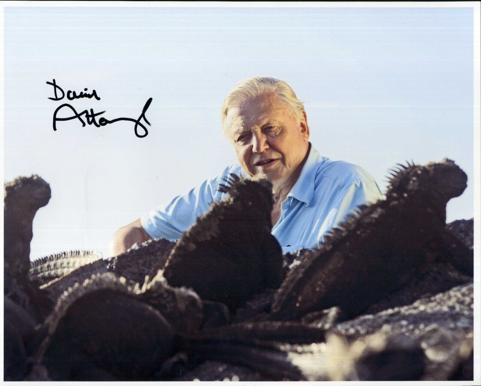 DAVID ATTENBOROUGH Signed Photo Poster paintinggraph - TV Presenter / Show Host - preprint