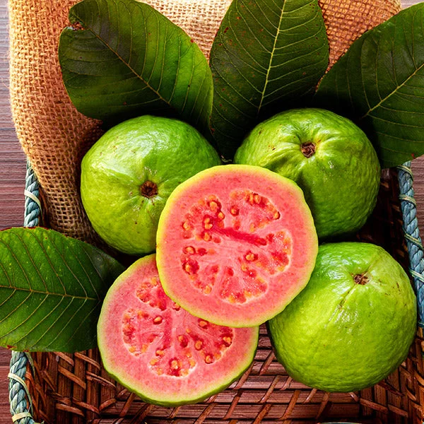 Tropical Strawberry Guava Organic Pink Guava Seeds