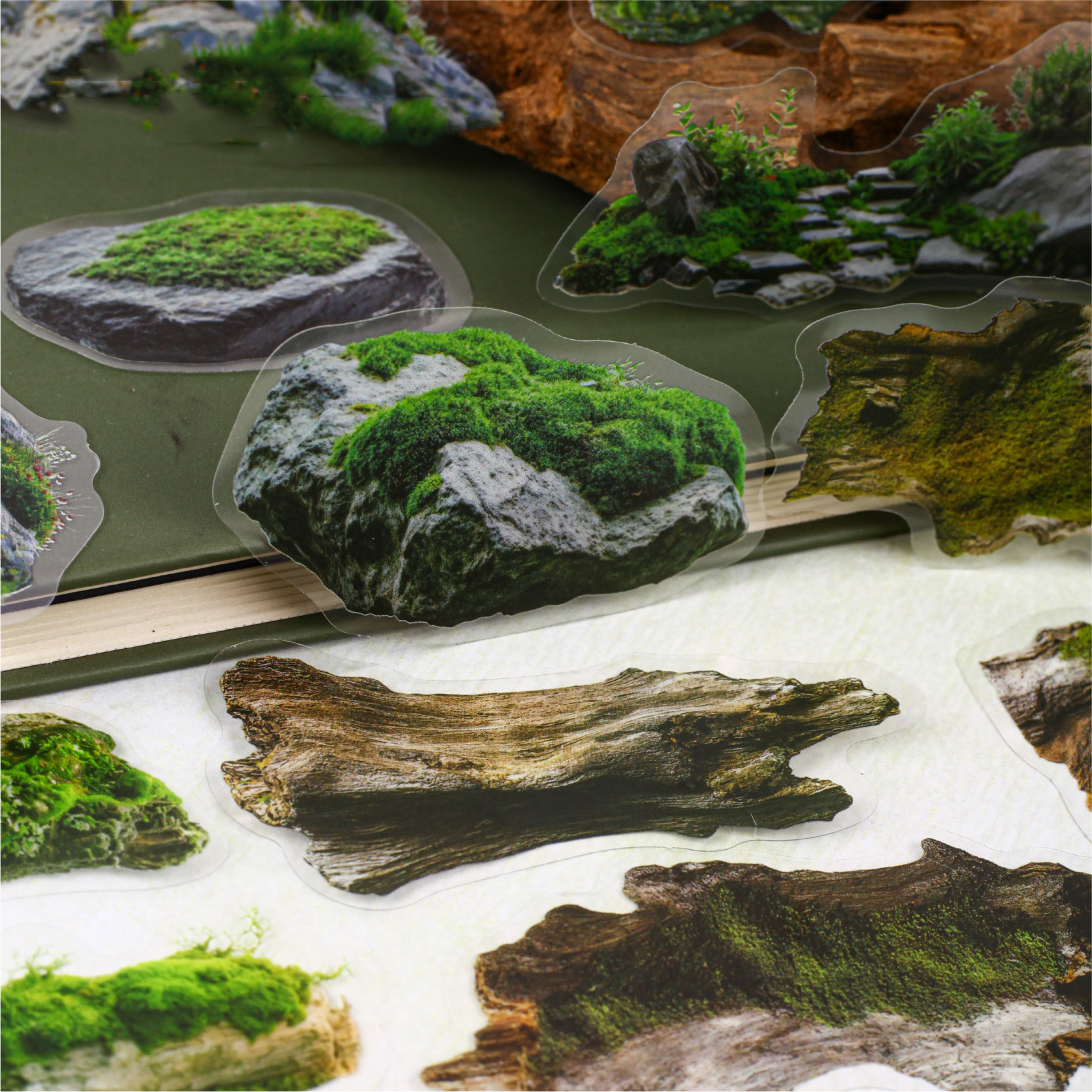 PET 스티커 - 이끼 시리즈 빈티지 식물 꽃 나무