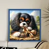 King Charles Cavaliers Dog-14CT Counted Cross Stitch 40*40cm tapestrymarket