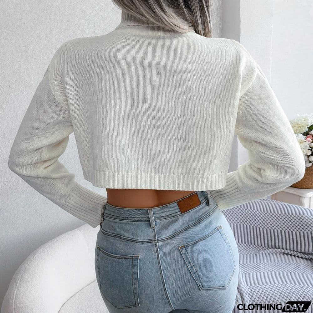 Mixed Knit Turtleneck Cropped Sweater
