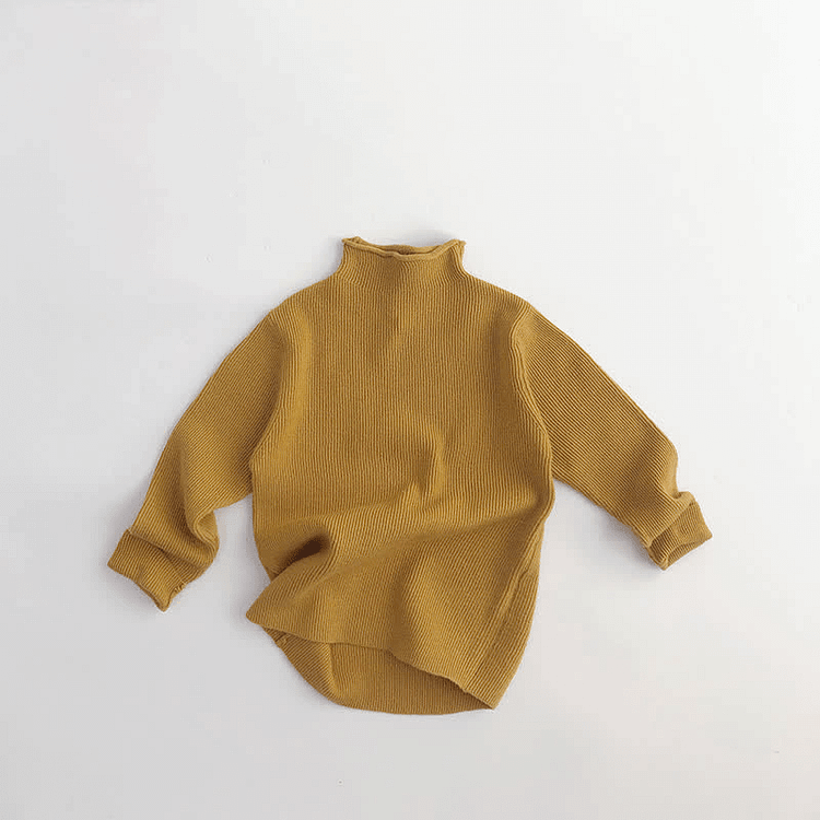 Toddler Boy Rolled Turtleneck Knitted Shirt