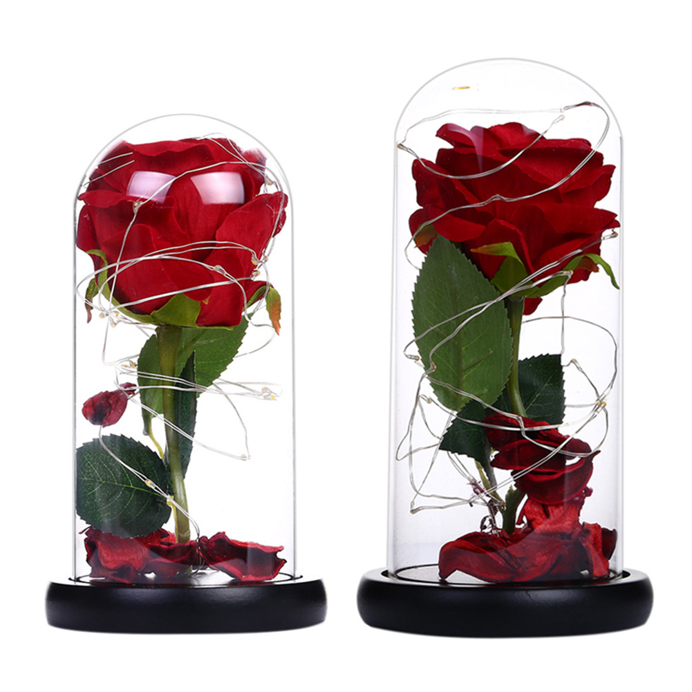 

Creative 20LED Lights Flower in Glass Dome Copper Wire Lamp for Valentine, 501 Original