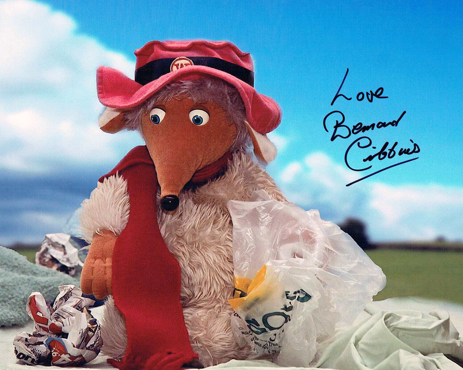 Bernard CRIBBINS SIGNED Autograph 10x8 Photo Poster painting Card AFTAL RD COA The Wombles TV