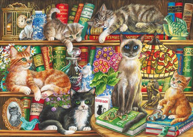 DIY Painting By Numbers Cat on bookcase 40*50cm