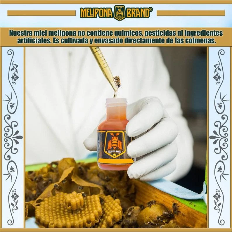 Melipona Honey, Stingless Bee Honey, Meliponini Honey, Miel Melipona