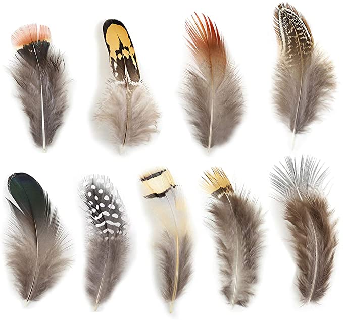 Guinea Fowl Feather Accessories for Hats