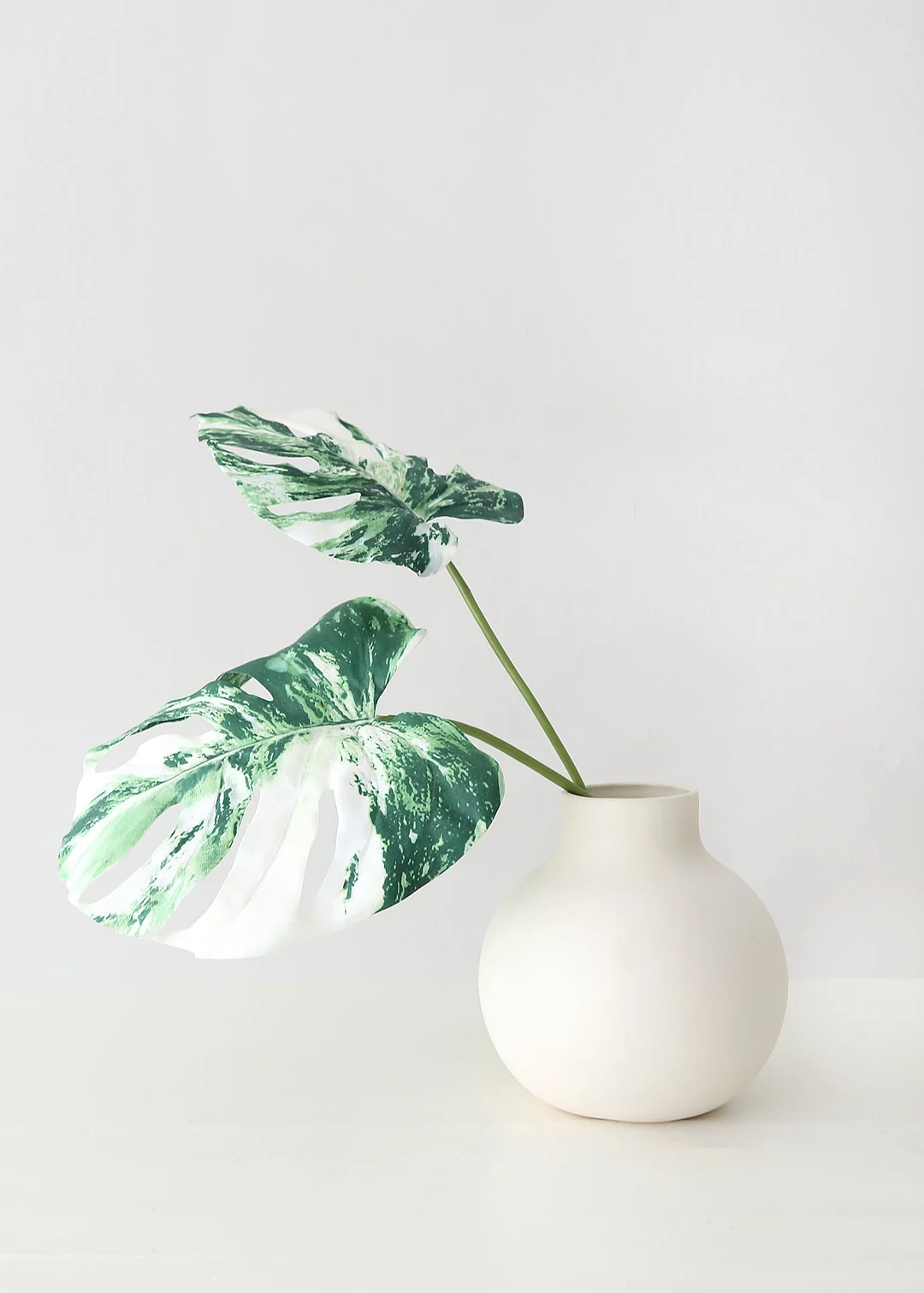 Artificial Variegated Monstera Leaves - 27-29"