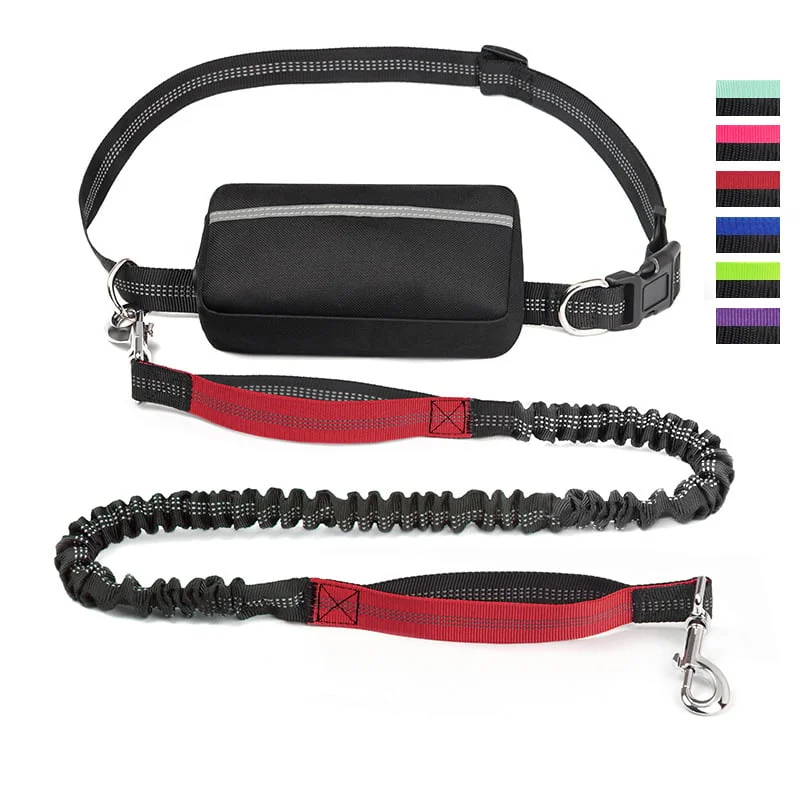 Hands Free Dog Leash