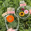 Dried flower bookmark handmade DIY material transparent specimen bottle spring homemade embossed plant flowers