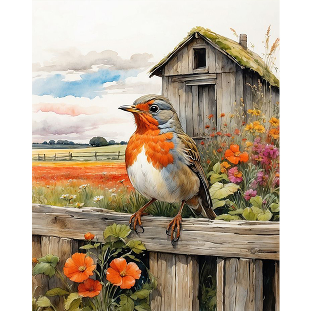 Fence Bird 40*50cm paint by numbers kit