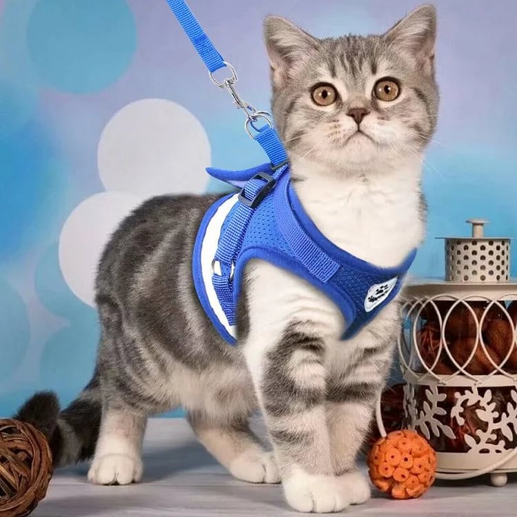 Reflective Cat & Kitten Harness and Leash Set for Adventure Cats