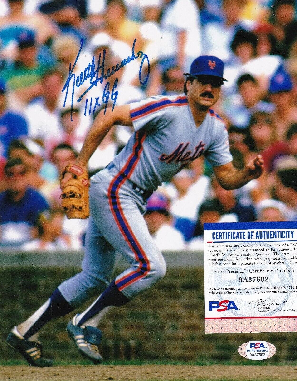 KEITH HERNANDEZ NEW YORK METS 11 X GOLD GLOVE PSA AUTHENTICATED SIGNED 8x10