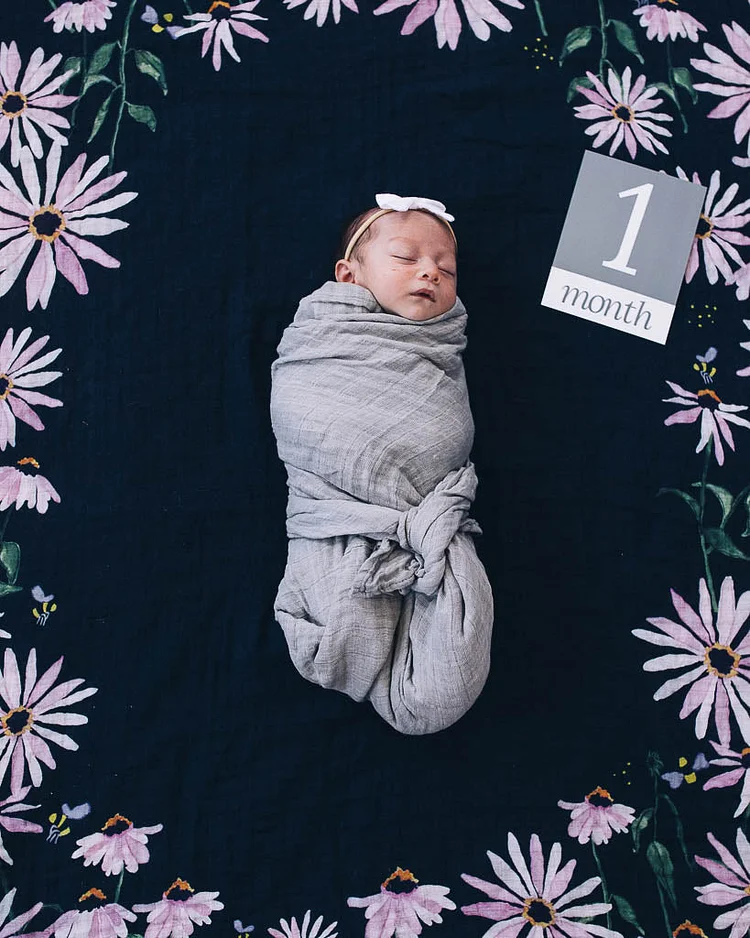 Photo Blanket - Dark Coneflower