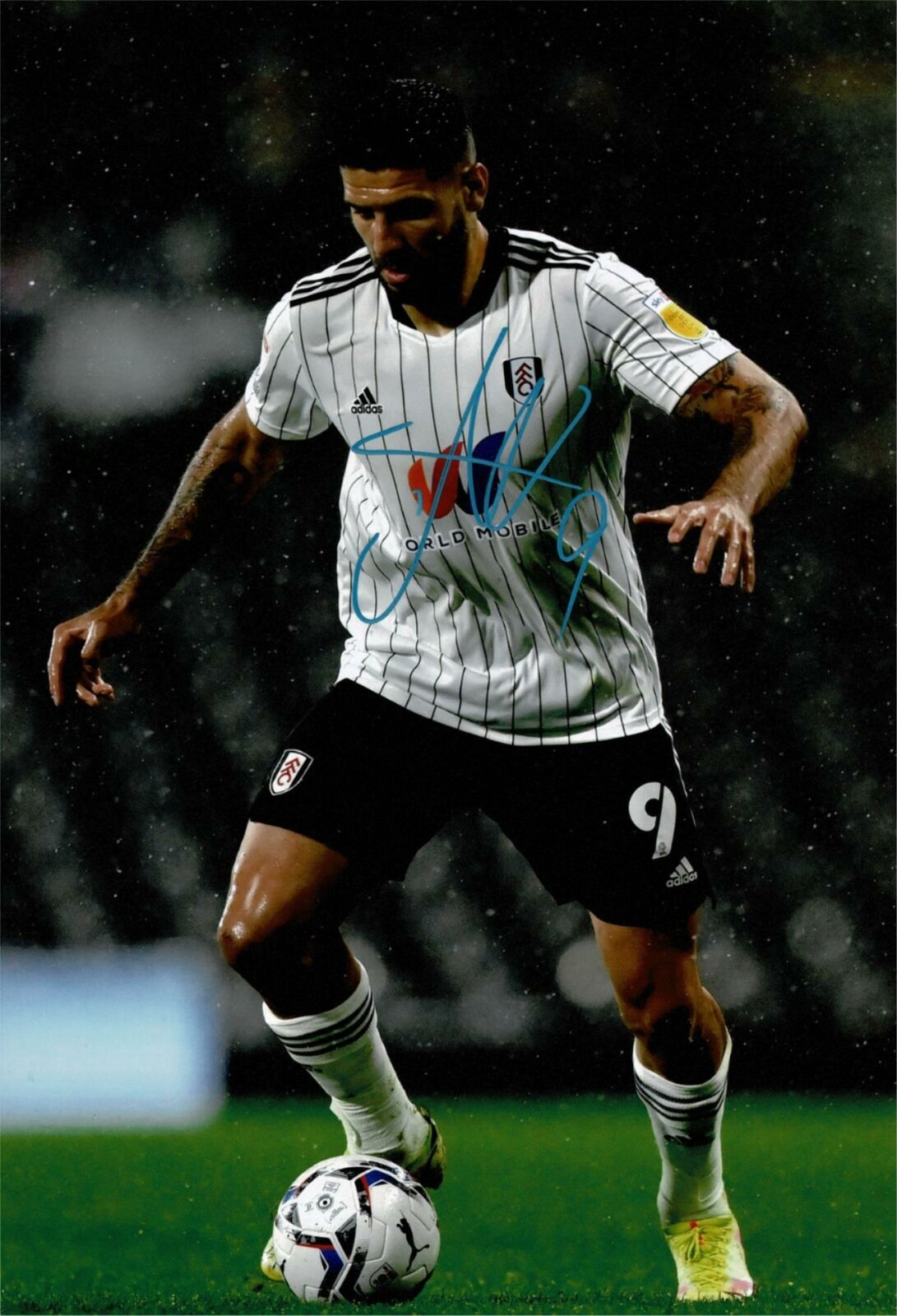 Aleksandar Mitrovic Signed 12X8 Photo Poster painting Fulham F.C. Autograph AFTAL COA (1650)