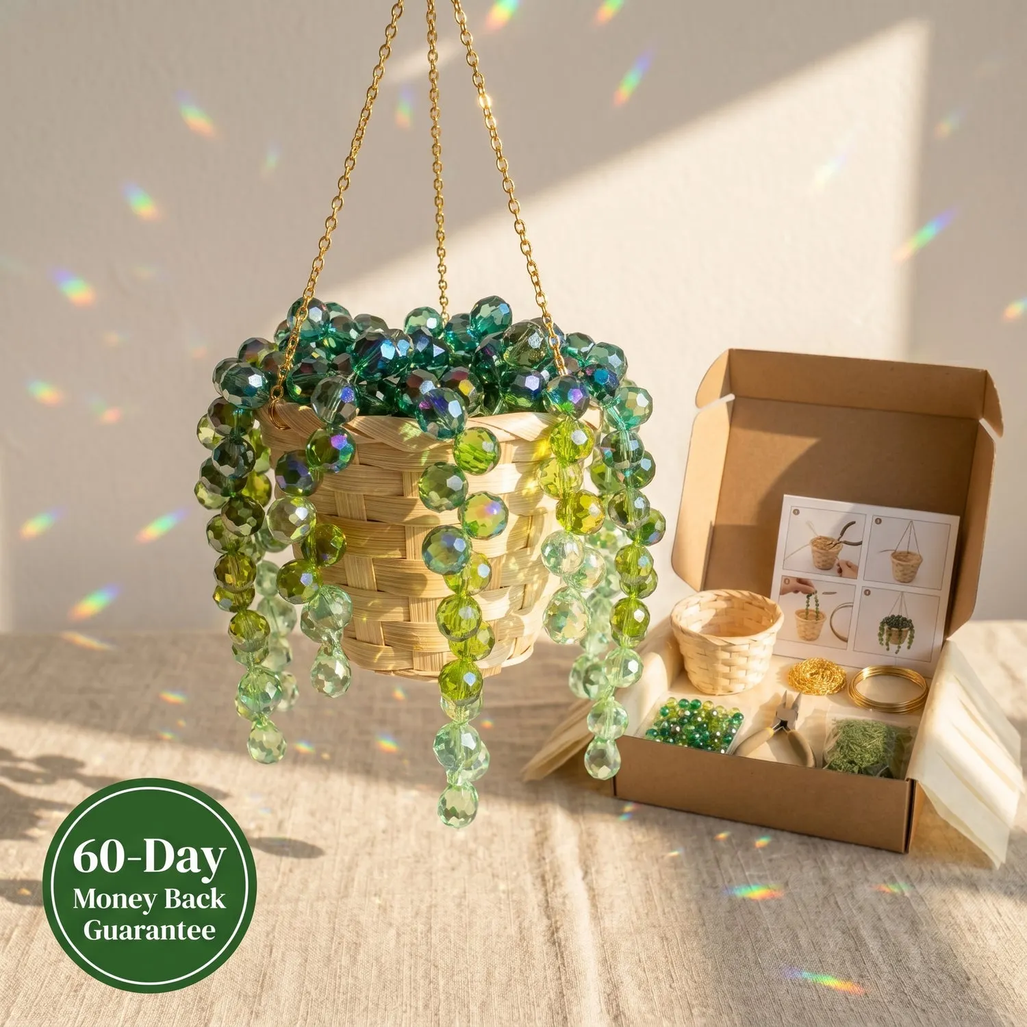 Plant suncatcher hanging in sunlight