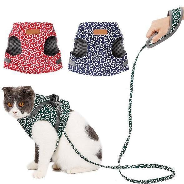 Gilet con imbracatura e guinzaglio per gatto, adatto per passeggiate all'aperto