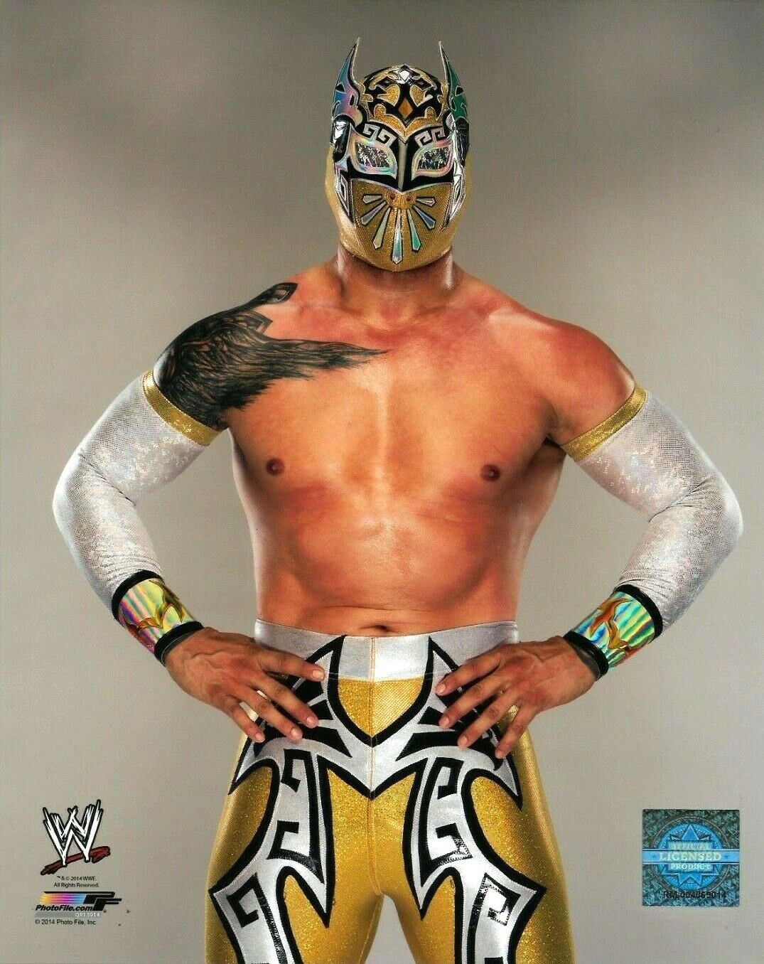 WWE SIN CARA OFFICIAL LICENSED 8X10 AUTHENTIC Photo Poster paintingFILE Photo Poster painting