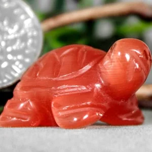 pornhint Pornhint Hand Carved Orange Fiber Optic Stone Good Luck Turtle Mineral Totem Fetish Tortoise Figurine 9060