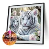 Wei&szlig;er Tiger - speziell geformtes Diamantgem&auml;lde - 30*30cm