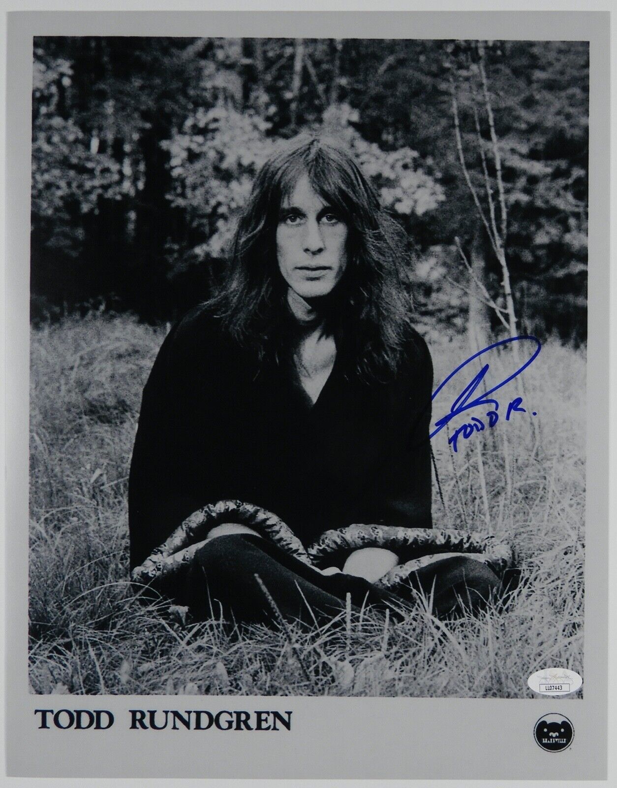 Todd Rundgren JSA Signed Autograph Photo Poster painting 8 x 10