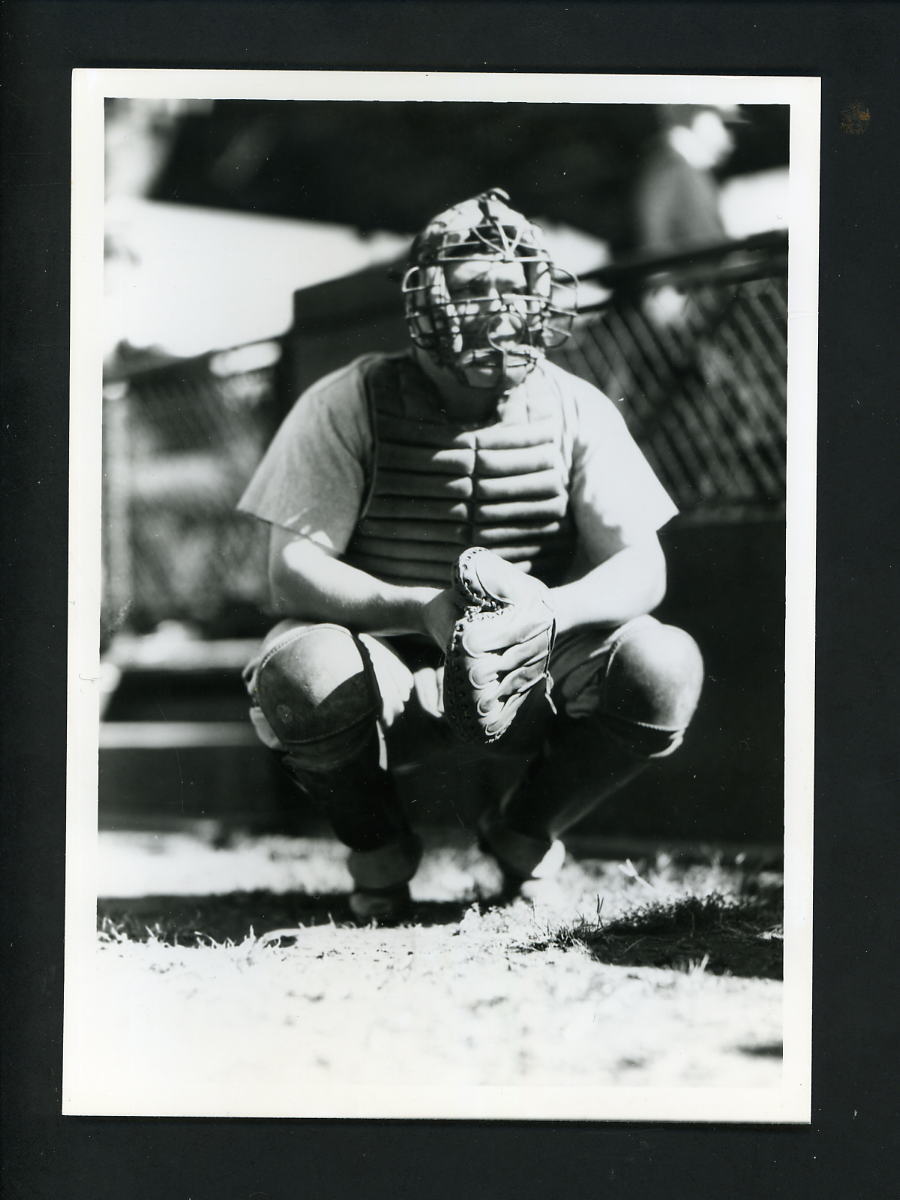 Hack Wilson George Brace Press Original Photo Poster painting Chicago Cubs catching pose