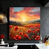 Fleur de coquelicot-plein rond diamant peinture-30 * 30cm