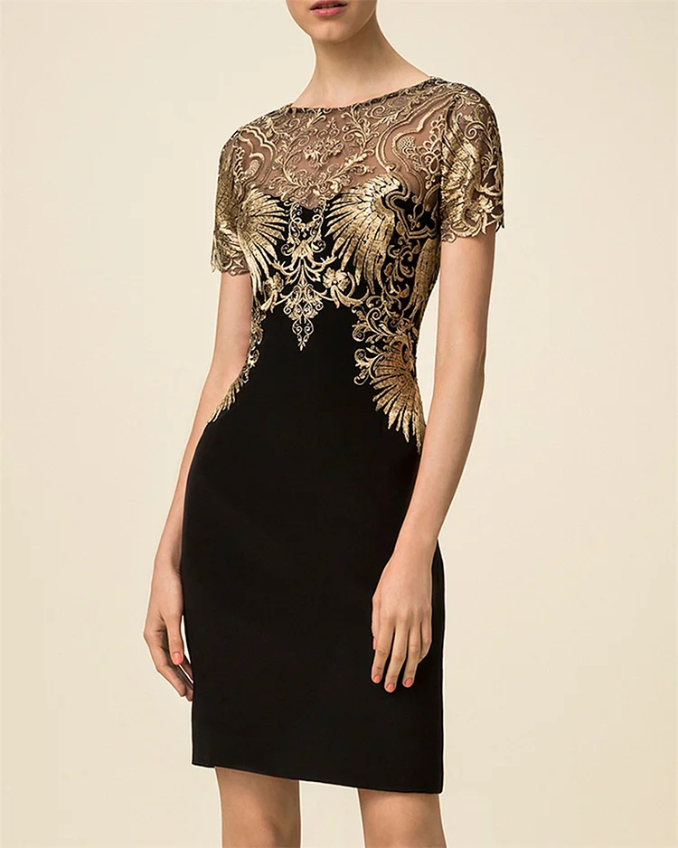 Women's Round Neck Embroidered Mini Short Sleeve Dress