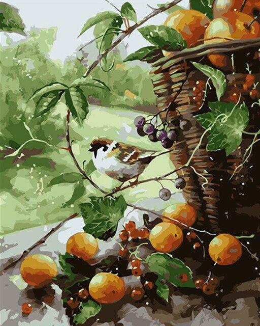 

Grapefruit Bird – Paint By Numbers - 40*50CM, 501 Original