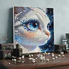 uk.everydayedeals DIY Pearl Painting With Frame - Handmade Self-Adhesive Pearls - Kitten(30*30cm)