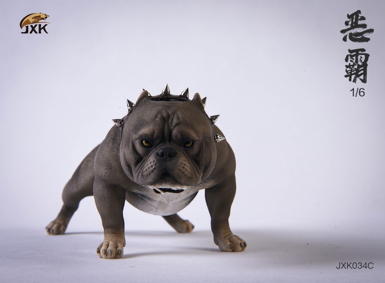 JXK 1/6 JXK034 Bully dog Animal model accessories-aliexpress