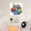 Succulent-18CT Stamped Cross Stitch 25*25cm/9.84*9.84in tapestrymarket