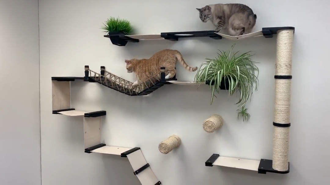 Muebles para gatos Soporte para gatos Hamaca para gatos Torre para