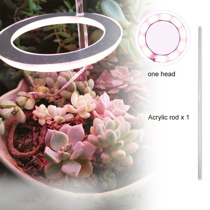 Angel One Ring Grow Light For Indoor Plants