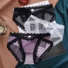 Lace Sexy Mesh Sheer Panties