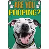 Are you puffing? - Metal Tin Signs(8*12Inch/12*16Inch) - Animal