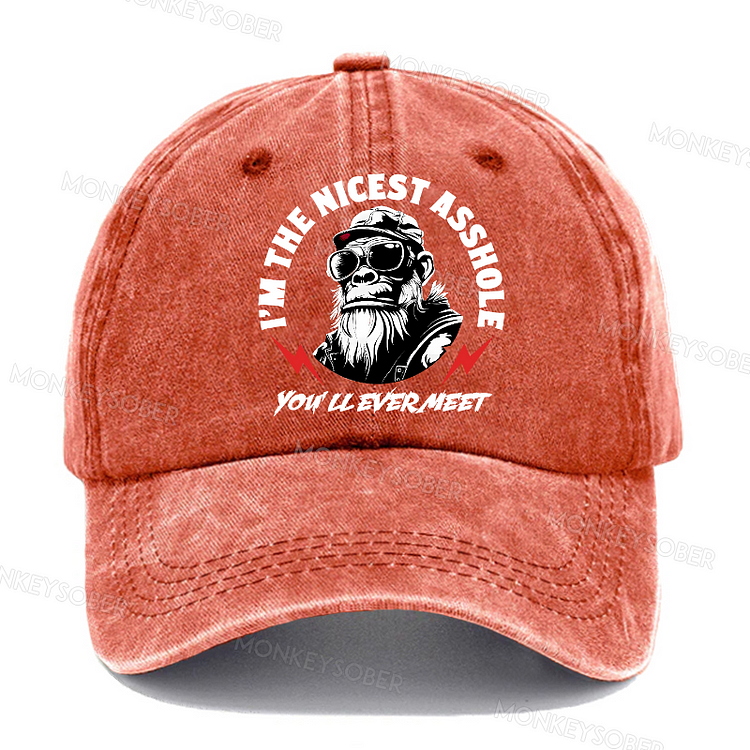 I'm The Nicest Asshole You'll Ever Meet  Washed Baseball Caps