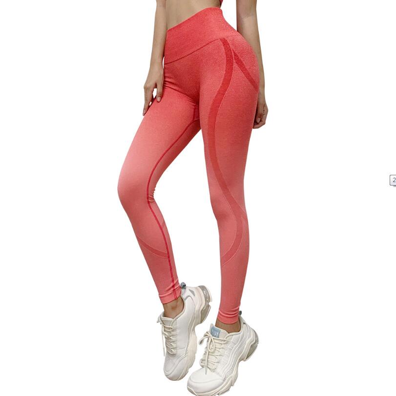 seamless gym leggings women 