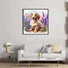 Lavender And Dachshund-11CT Stamped Cross Stitch 40*40cm/15.75*15.75in