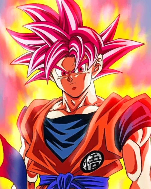 

Dragon Ball – Paint By Numbers - 40*50CM, 501 Original