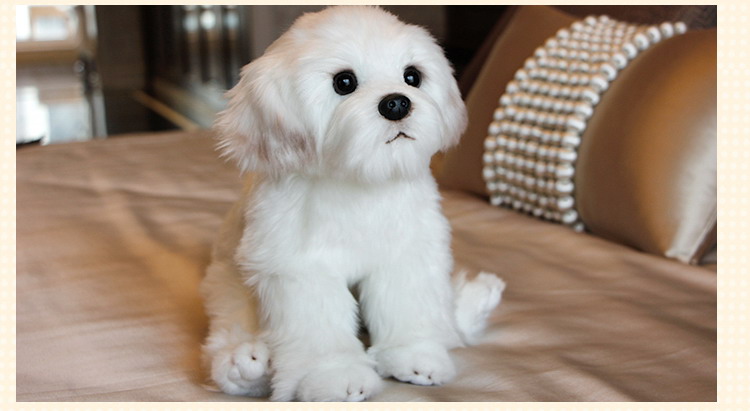 Tegooe Realistic White Fluffy Puppy Stuffed Animal Doll - Simulation Pet Plush Toy