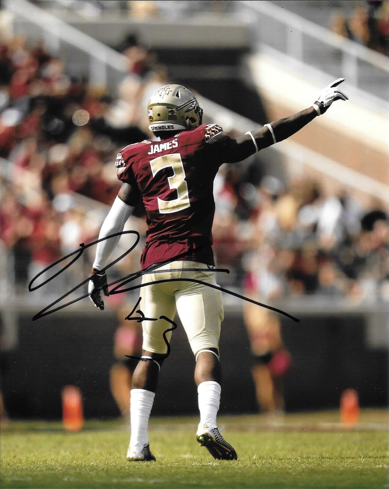 DERWIN JAMES HAND SIGNED FLORIDA STATE SEMINOLES 8X10 Photo Poster painting W/COA FSU