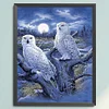 Owl - 14CT Counted Cross Stitch - 40*50cm