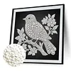 DIY Pearl Painting Bird for Home Wall Decor(25x25cm)