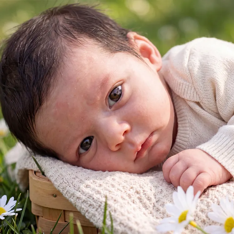 [Pre-Order] Full Body Silicone Reborn Baby Doll 12"/16" Lifelike Boy &ndash; Wynne