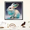 Diamond Painting-DIY Full Round Drill Rabbit(30*30CM)