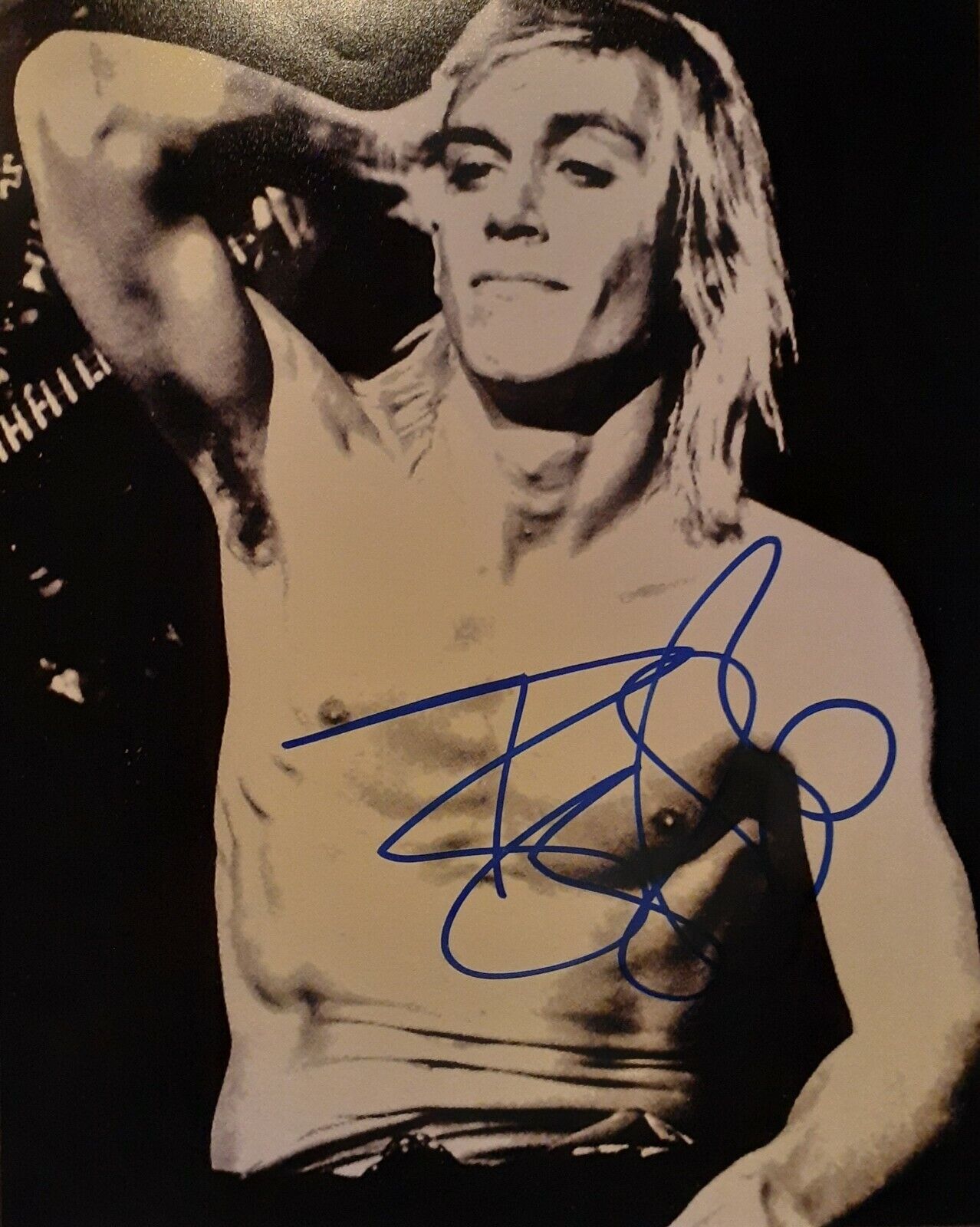 Iggy Pop signed 8x10